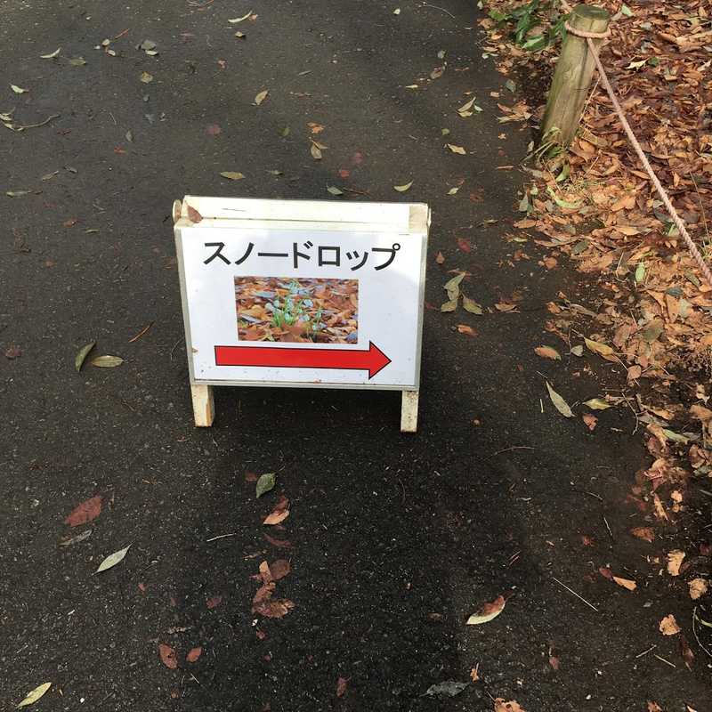 showa 07