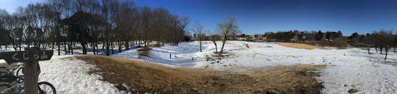 musashino park 12