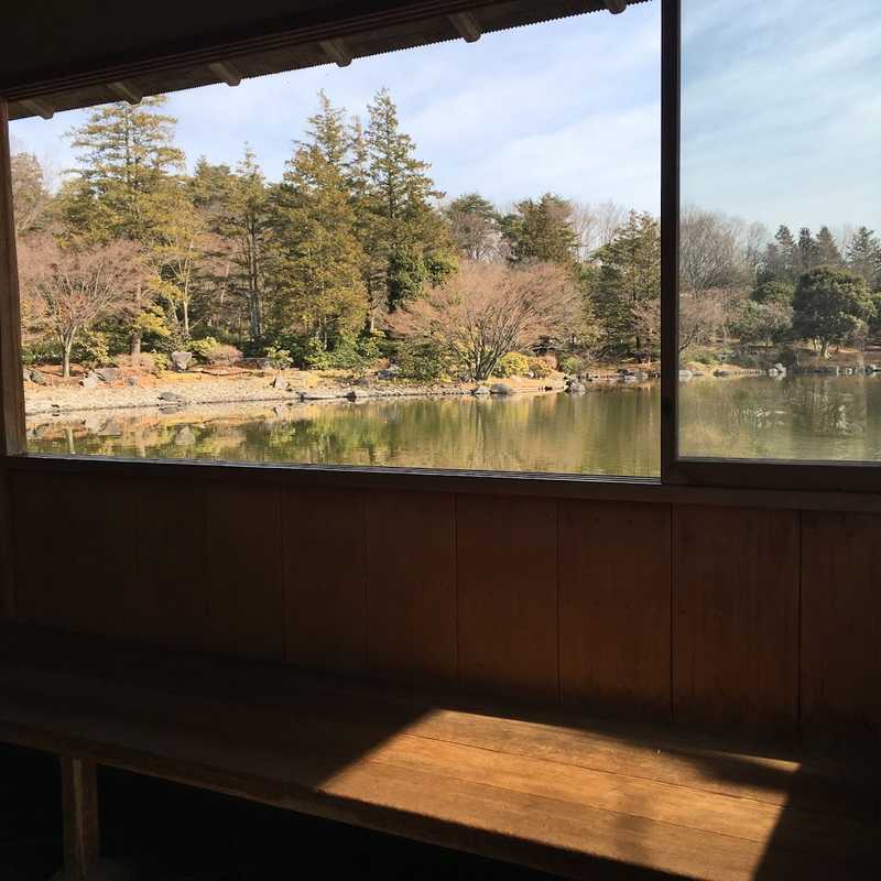 showa 11
