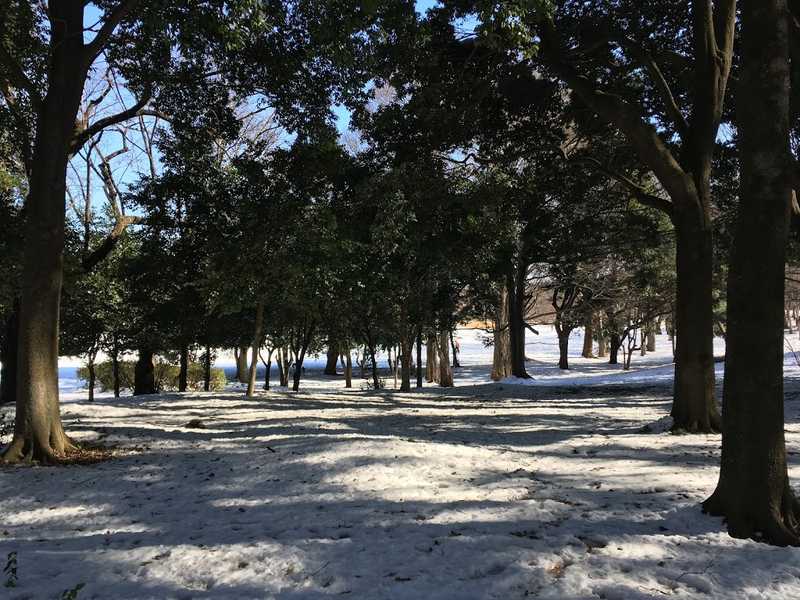 musashino park 09