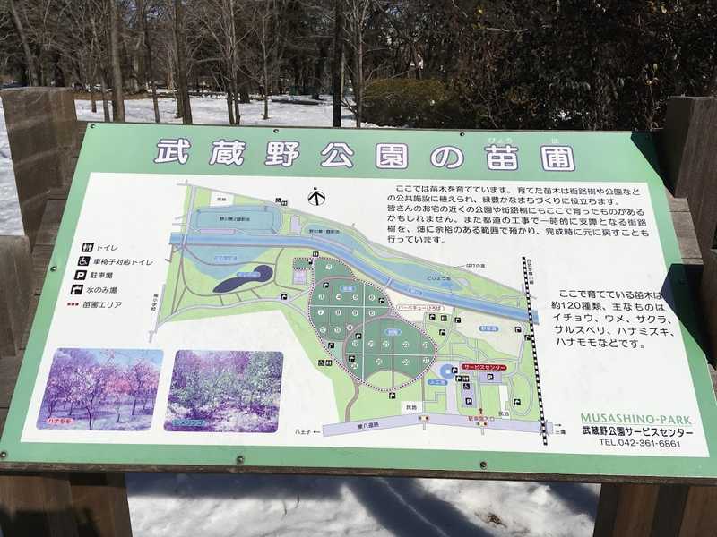 musashino park 14