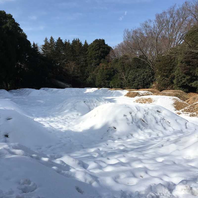showa 24
