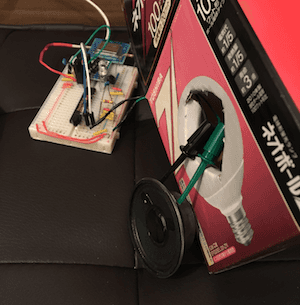 enclosure1