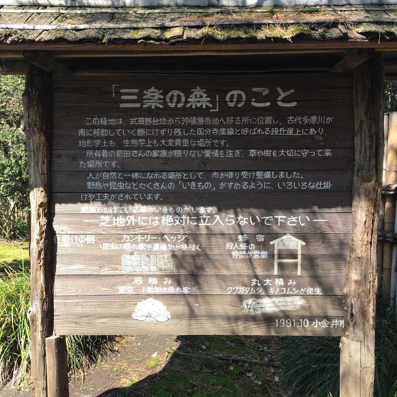walk 03