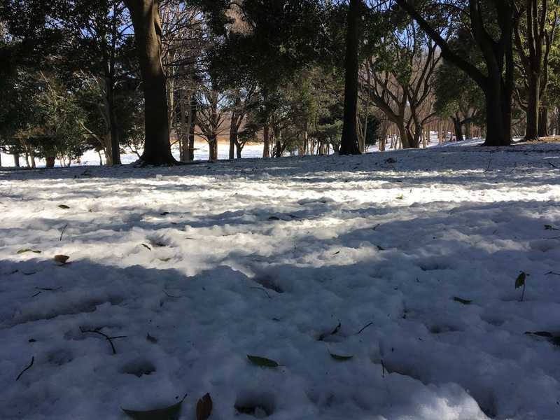 musashino park 08