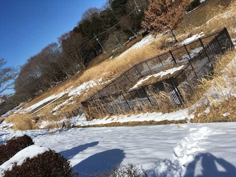 musashino park 16