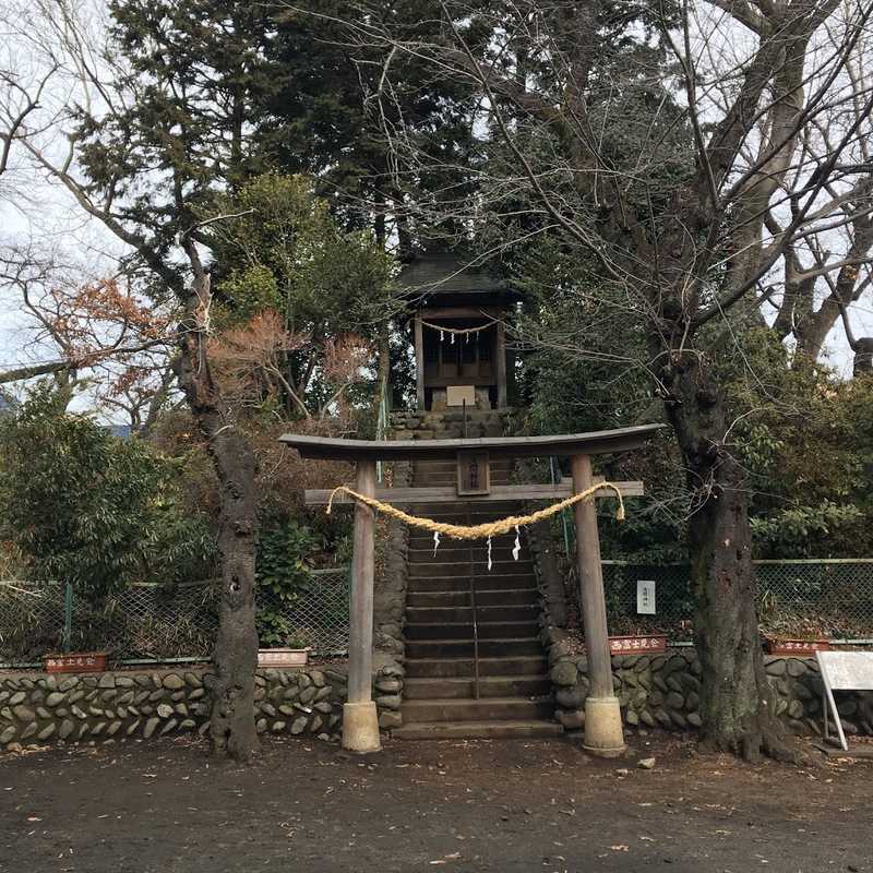 showa 29