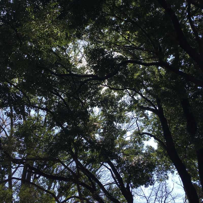 walk 06